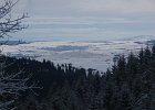 DSC04897