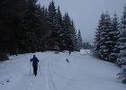 DSC04898