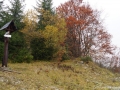 DSC05690