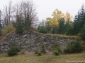 DSC05695