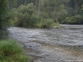 DSC07016