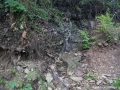 DSC06902