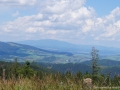 DSC03154