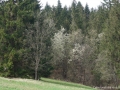DSC06371