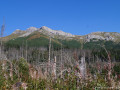 DSC08370