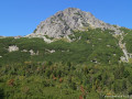 DSC08389