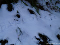 DSC08391