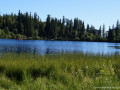 DSC08498