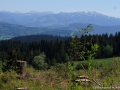 DSC06495