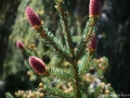 DSC06503