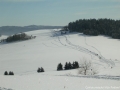 DSCN9304