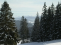DSCN9309