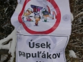 DSCN9312