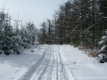DSCN9345